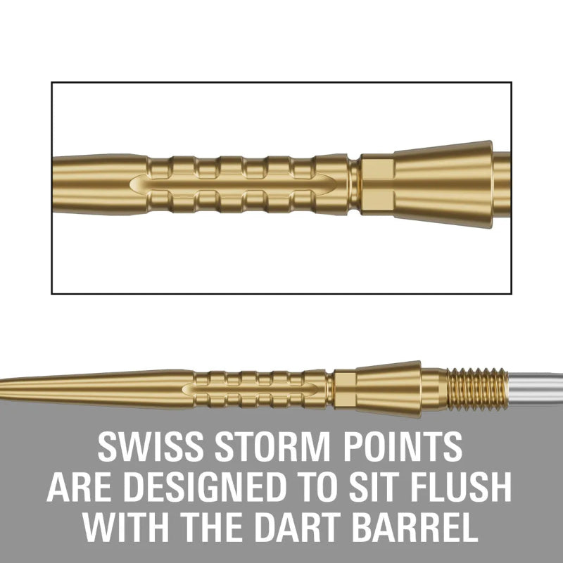 Target Swiss Storm Surge Dart Points