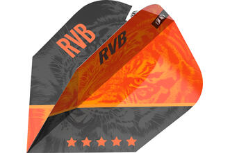 Raymond Van Barneveld Gen4 No6 Std Flights