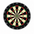 NPQ Near Perfect Quality) Dartboard